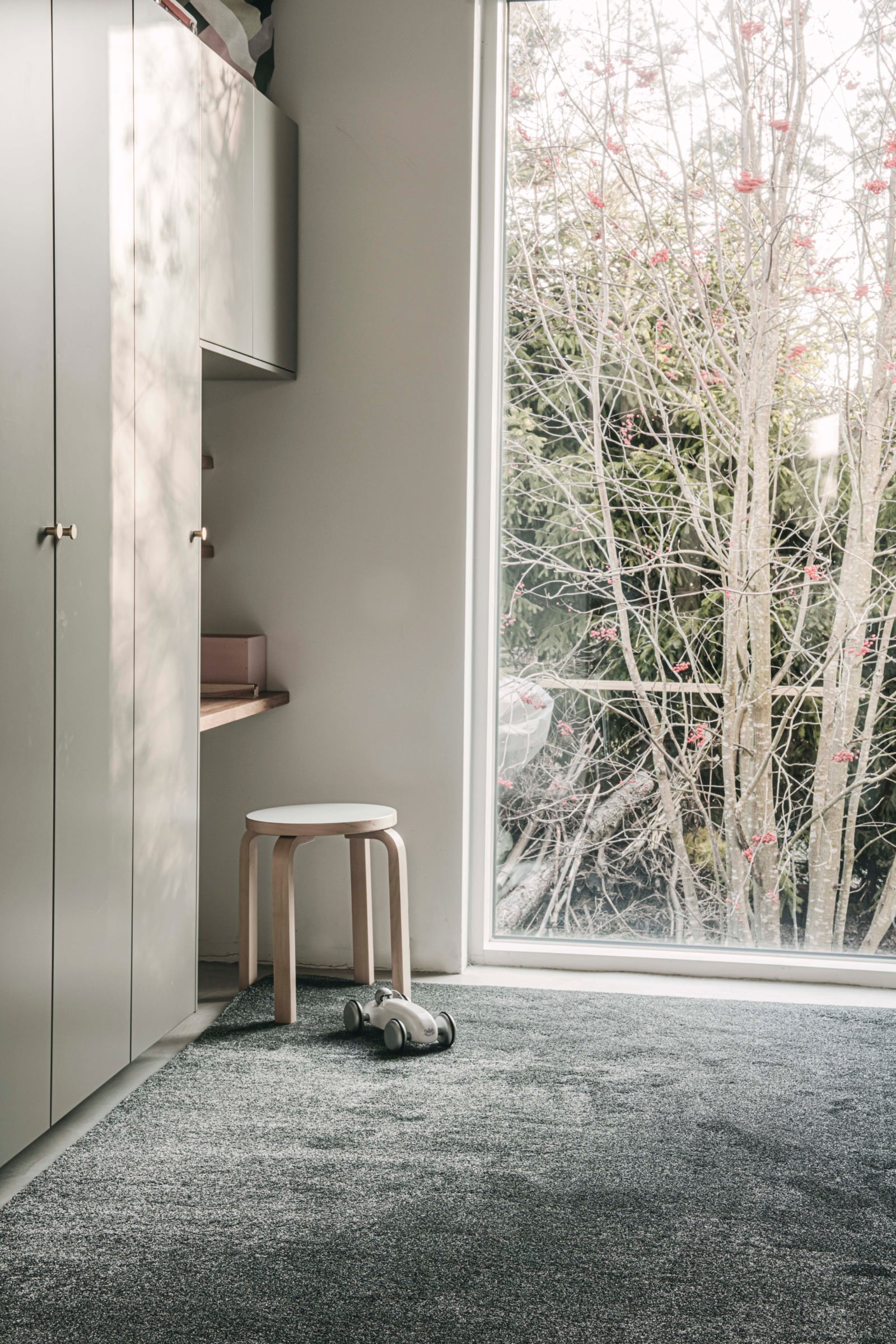 VM Carpet Kide - Image 2