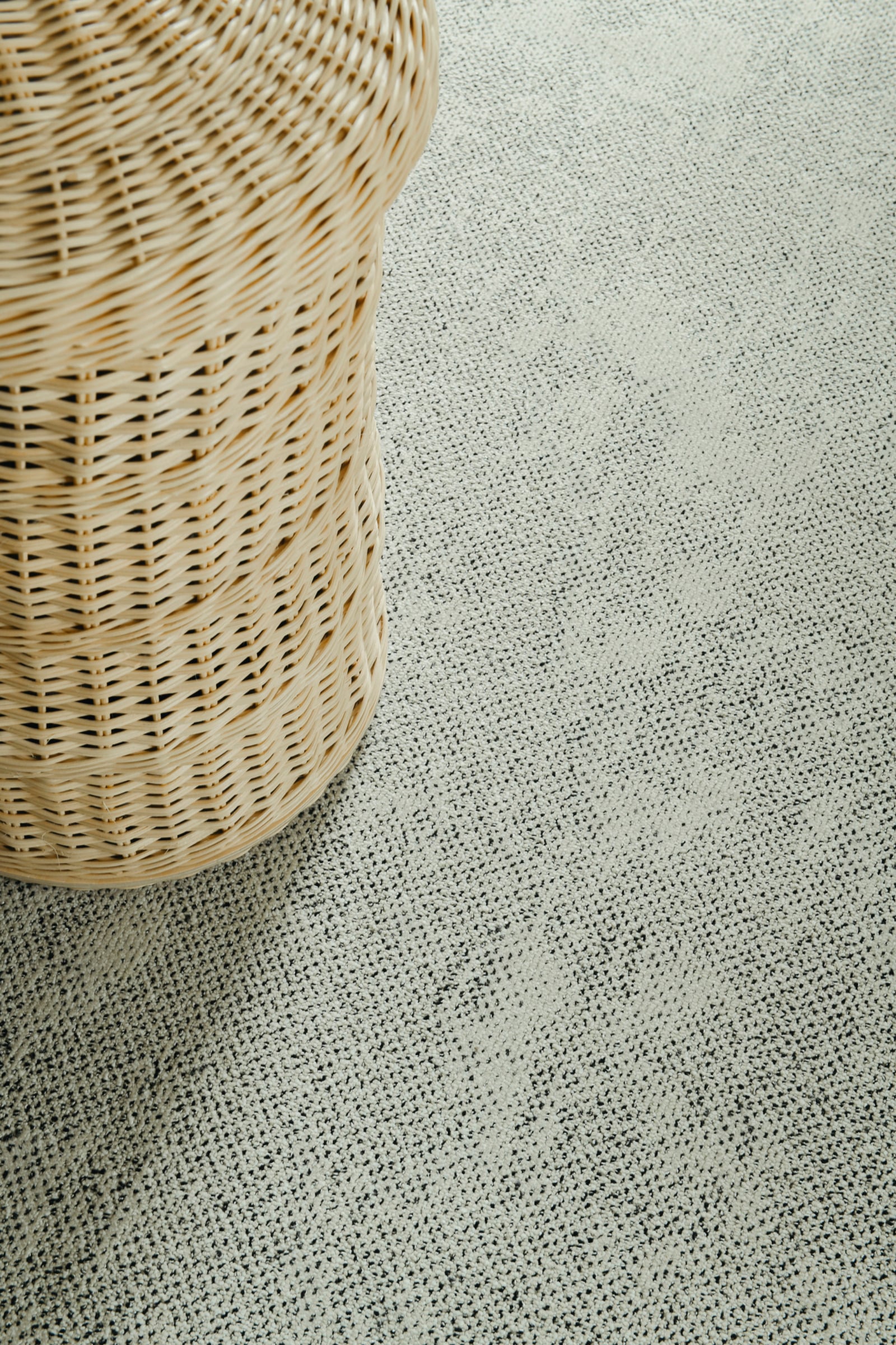 VM Carpet Pippuri - Image 4